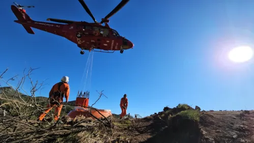 A corporação atua por terra e ar no combate aos focos