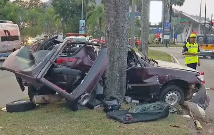 Carro bate em palmeira na Rua Mário Ribeiro