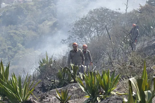 Bombeiros seguem no Morro das Andorinhas