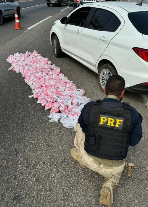 Dupla levava as drogas no porta-malas do veículo