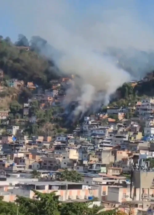 Moradores colocaram fogo em mata, mas estiagem ajudou alastrar o fogo