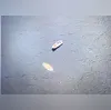 Imagem ilustrativa da imagem Barco vira na Praia de Ipanema; bombeiros estão a caminho
