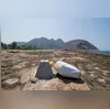 Imagem ilustrativa da imagem Conheça a Itacoboia, novidade de resgate em praia de Niterói