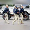 Oito veículos estavam na ponte no momento da queda