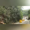 A distribuidora disse que realizou inúmeras tentativas de negociação, mas sem sucesso