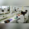 Pela nova regra, está liberada contratação em concurso público por regime CLT