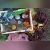 Imagem ilustrativa da imagem Ambulantes no Carnaval: saiba como se inscrever para 15 mil vagas