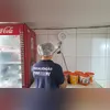 Agentes encontraram lacres rompidos, locais sem laudo para funcionamento, além de publicidades proibidas
