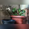 A produção de água no Sistema Imunana-Laranjal foi retomada por volta das 17h desta sexta (1)