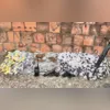 Polícia faz operação contra a quadrilha