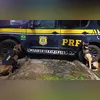 Apesar da intensa troca, não houve registro de feridos