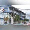 Tutores dos pets poderão realizar serviço de castração gratuitamente