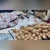 Alimentos vencidos foram achados em um dos hotéis