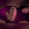 Sintomas são parecidos com os da dengue
