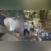 Imagem ilustrativa da imagem Vídeo: motorista é agredido com paulada na cabeça por passageiro