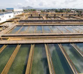 Cedae para produção de água para Niterói, São Gonçalo e Maricá