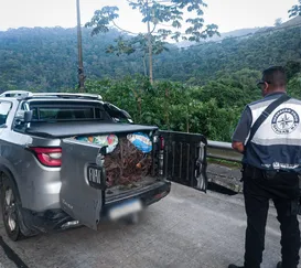 Operação Foco Divisas apreende 500 quilos de cobre