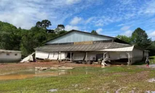 Imagem ilustrativa da imagem Casa é invadida por enxurrada e criança de três anos é arrastada