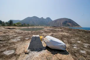 Imagem ilustrativa da imagem Conheça a Itacoboia, novidade de resgate em praia de Niterói