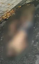 Imagem ilustrativa da imagem Corpos são encontrados com marcas de tiros e pés amarrados