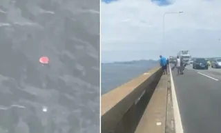 Imagem ilustrativa da imagem Identificado motociclista que morreu após cair da Ponte Rio-Niterói