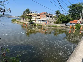 Imagem ilustrativa da imagem Mortandade de peixes em lagoa de Niterói assusta moradores; vídeo