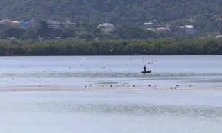 Imagem ilustrativa da imagem Niterói anuncia obras para recuperar lagoas na Região Ocêanica