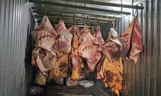 Imagem ilustrativa da imagem Preso dono de empresa que vendia carne podre de enchentes