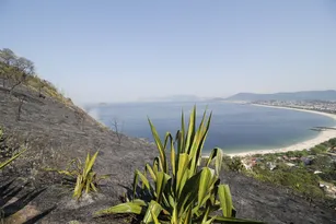 Imagem ilustrativa da imagem Trilhas liberadas em ponto turístico de Niterói após queimadas