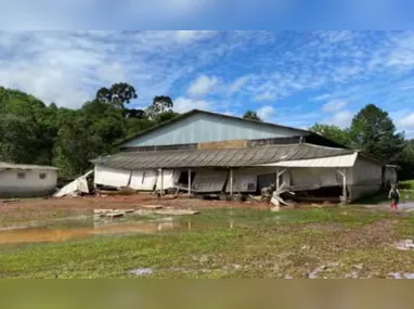 Os pais e as duas irmãs da criança também estavam no local, mas conseguiram se salvar