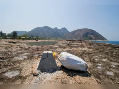 Imagem ilustrativa da imagem Conheça a Itacoboia, novidade de resgate em praia de Niterói