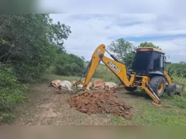 A ocorrência foi registrada na 93ª DP (Volta Redonda)