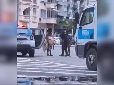 Imagem ilustrativa da imagem Morador em situação de rua é detido com tartaruga gigante no Rio