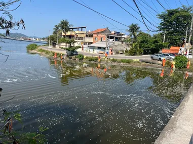 Mortandade de peixes atingiu a Lagoa de Piratininga