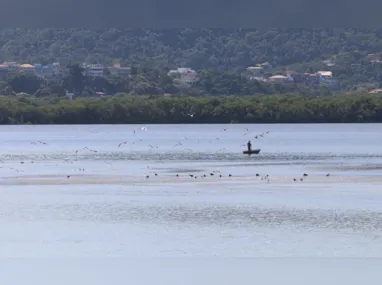 Imagem ilustrativa da imagem Niterói anuncia obras para recuperar lagoas na Região Ocêanica