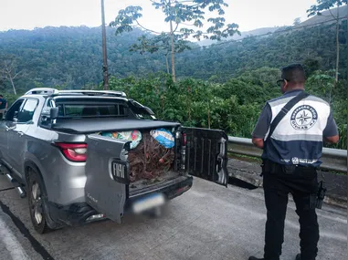 Imagem ilustrativa da imagem Operação Foco Divisas apreende 500 quilos de cobre