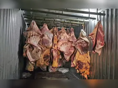 Imagem ilustrativa da imagem Preso dono de empresa que vendia carne podre de enchentes