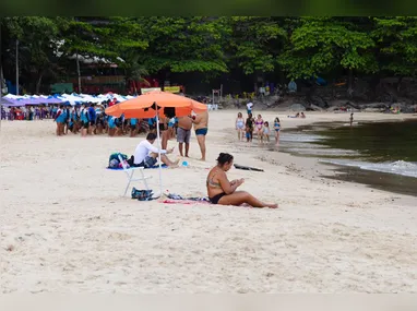 As multas pelo crime ambiental podem chegar a R$ 10 milhões