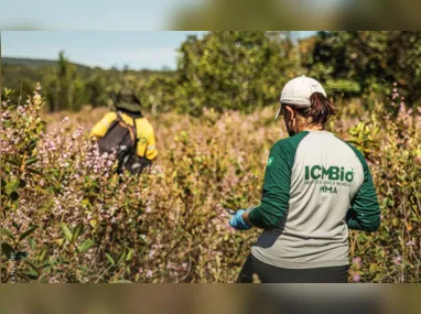 Colônia de férias acontece entre os dias 27 e 31 de janeiro