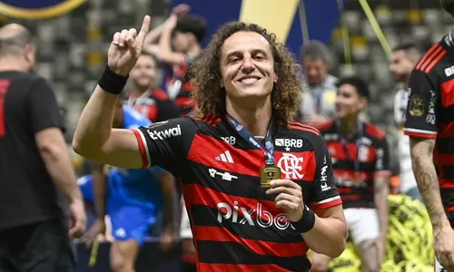 David Luiz conquistou quatro títulos com a camisa do Flamengo