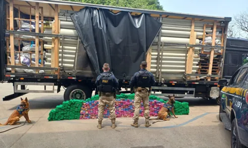 Agentes encontraram várias caixas de papelão contendo centenas de tabletes de maconha