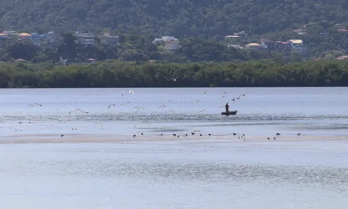 Com um investimento de R$ 44 milhões, a obra visa desassorear o canal de Itaipu