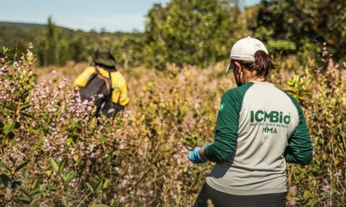 Pode concorrer quem tem nível superior em qualquer área