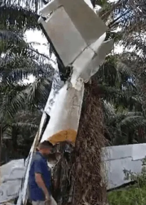 O avião caiu uma uma plantação de dendê