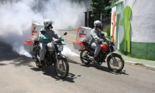 Ação consiste na pulverização de inseticida para controle do Aedes aegypti