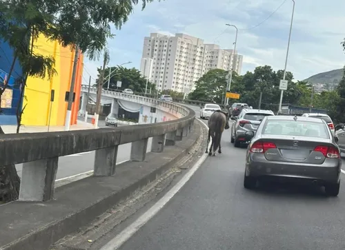 O fluxo foi retido por alguns minutos