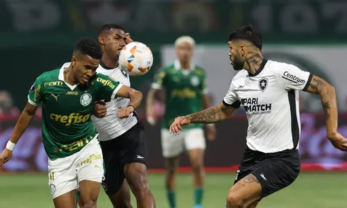 Partida entre Palmeiras x Botafogo será realizada no dia 30 de março (domingo)