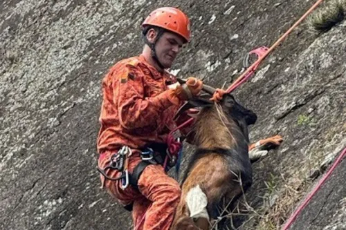 O trabalho envolveu três especialistas em salvamento em altura