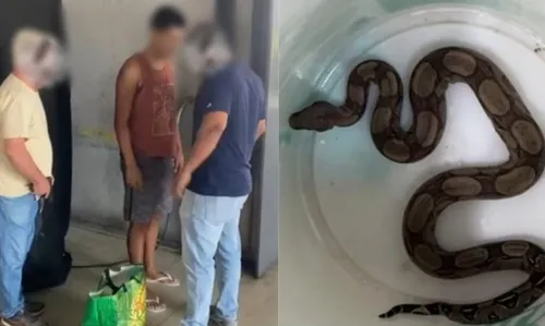 As autoridades tinham recebido denúncias de que o homem também estava comercializando a cobra nas redes sociais