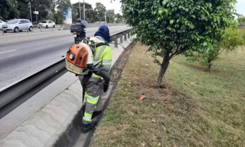 O cronograma poderá sofrer alterações em caso de chuva